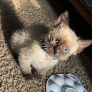 Meet your Posher, Angelina